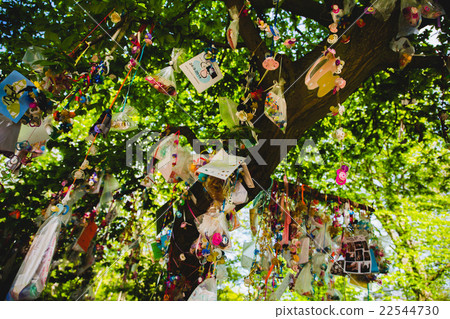 pacifier, dummy, teat or soother in tree 22544730