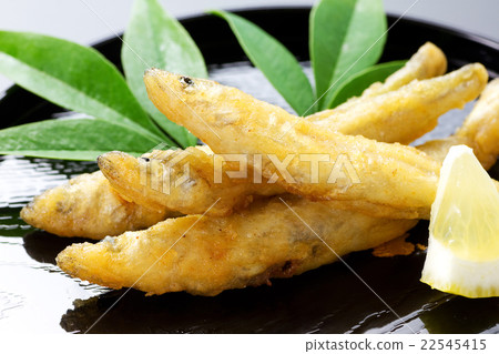 從兔子炸魚4 22545415