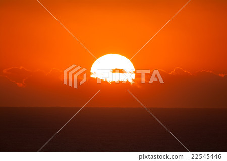 千葉縣外串·Kamenlight 千葉縣外串·Kamenlight 22545446