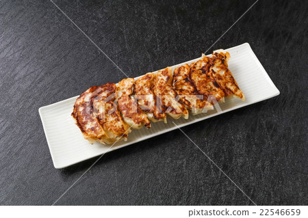 Grilled dumplings Pot sticker Grilled dumplings Pot sticker 22546659