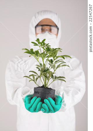 Scientist with plant Scientist with plant 22547267
