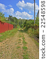 road to the forest. countryside 22548598
