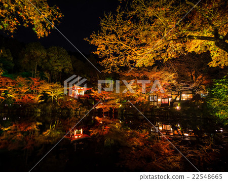 Bentendo點亮Daigoji寺 Bentendo點亮Daigoji寺 22548665
