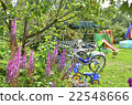 summer activity stuff 22548666