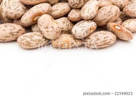 Quail: Pinto beans 22549023