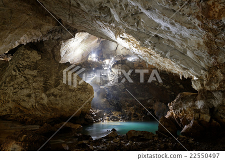 Shuhohora Shuhohora 22550497