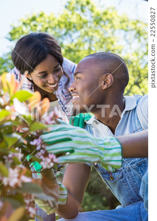 Young couple gardening together 22550827