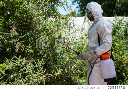 Man doing pest control 22551338