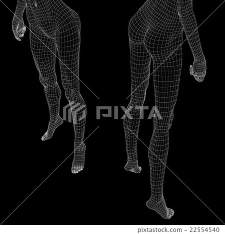 Women's body wire frame perming3DCG Illustration Material Material 22554540