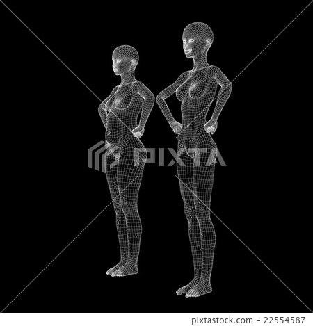 女性身體線框飲食perming3DCG圖材料 22554587