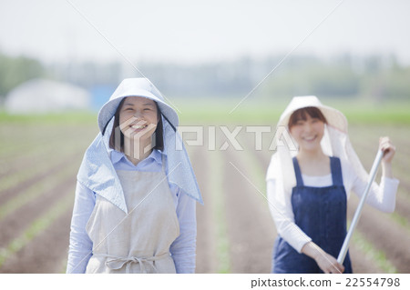 Aspara farmer 22554798