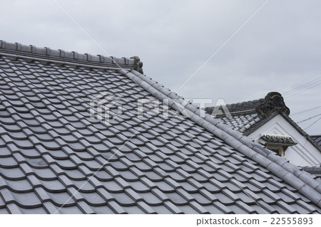 The roof The roof 22555893