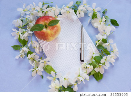 designer background with of flowering apple-tree designer background with of flowering apple-tree 22555995