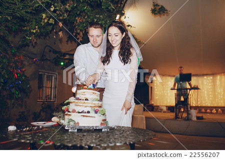 cutting the wedding cake 22556207