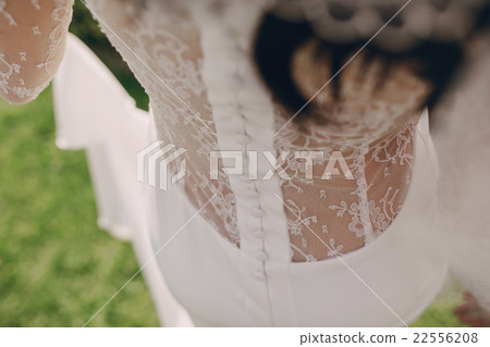 bride with the crown 22556208