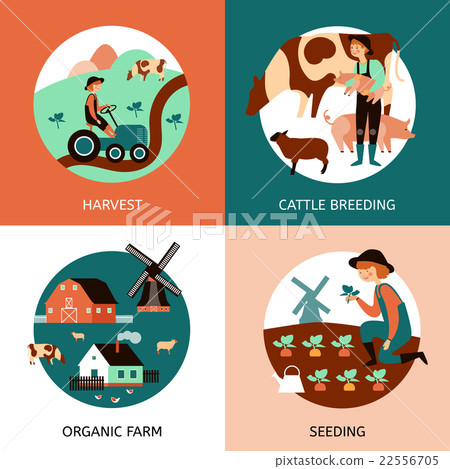 Organic Farm 4 Flat Icons Banner  Organic Farm 4 Flat Icons Banner  22556705