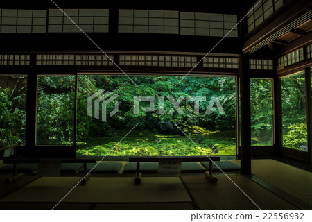 The Ruri garden which I see from the first floor of the new green school of Rurikoin 22556932