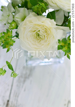 Arrangement of Ranunculus Arrangement of Ranunculus 22557908