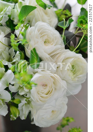 Arrangement of Ranunculus Arrangement of Ranunculus 22557927