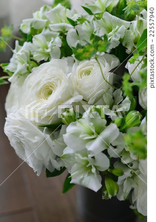 Arrangement of Ranunculus 22557940