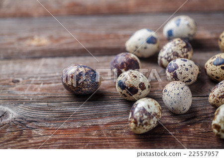 Group of quail eggs on thewooden background Group of quail eggs on thewooden background 22557957