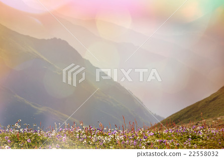 Mountains meadow 22558032
