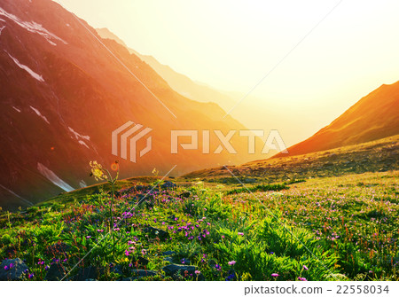 Mountains meadow 22558034