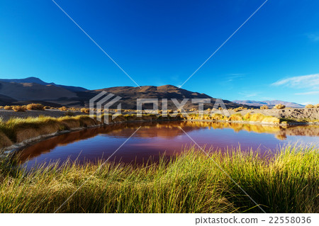 Northern Argentina Northern Argentina 22558036