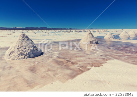 Salinas in Bolivia Salinas in Bolivia 22558042