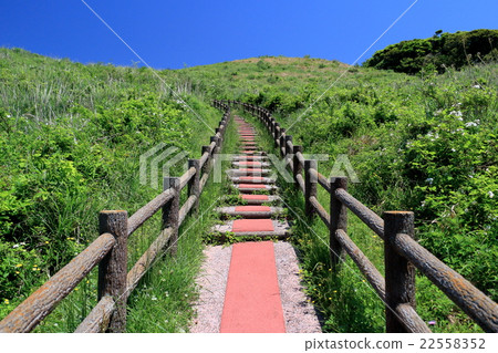 Kyushu Orle Munakata · Oshima course Fukuoka prefecture Recommend Sightseeing area Munakata shi Oshima 22558352