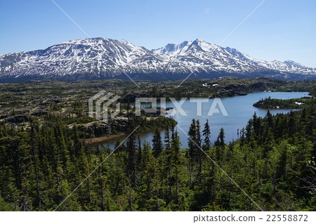 阿拉斯加冰山 阿拉斯加冰山 22558872