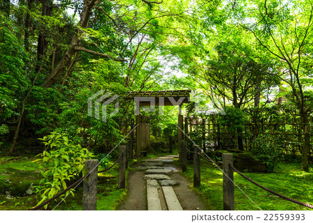 京都Tensakuin Seinen南花園 22559393