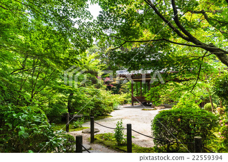 京都Tensakuin Seinen南花園 22559394