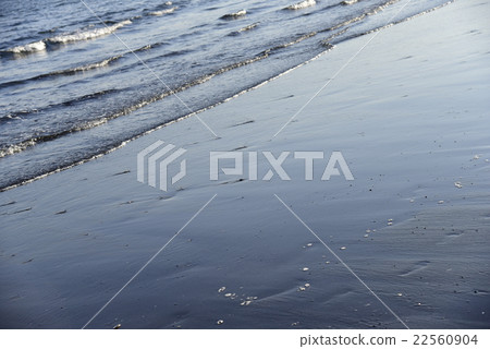 淺水,海浪 淺水,海浪 22560904