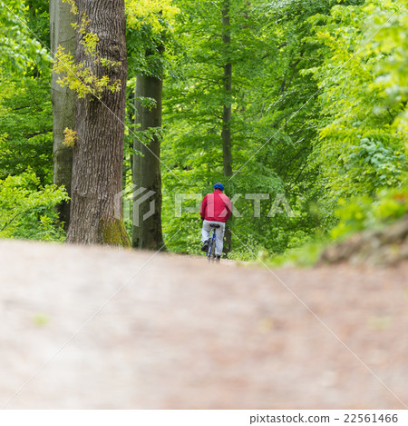 Cyclist Riding Bycicle on Forest Trail. 22561466