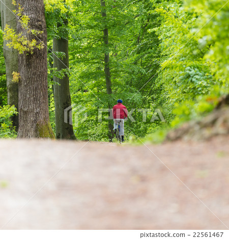 Cyclist Riding Bycicle on Forest Trail. Cyclist Riding Bycicle on Forest Trail. 22561467