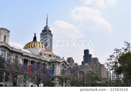 The streets of Mexico City The streets of Mexico City 22561610