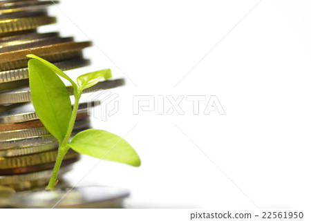 Plant and lot of coins Plant and lot of coins 22561950