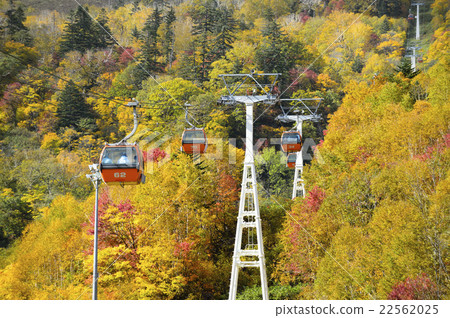 Sapporo International Ski Resort Autumn Leaves Gondola Sapporo International Ski Resort Autumn Leaves Gondola 22562025