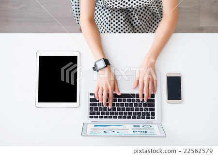 Nice woman working on the laptop  22562579