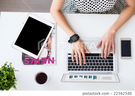 Pleasant woman working on the laptop Pleasant woman working on the laptop 22562580