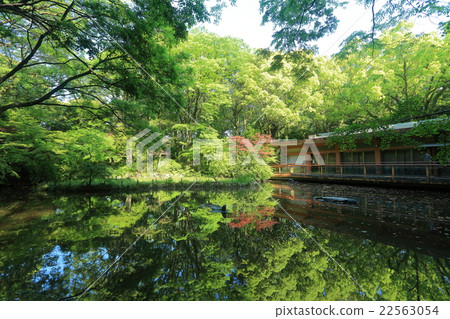 Atsuta Shrine Minami-Shinko Atsuta Shrine Minami-Shinko 22563054