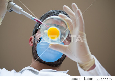 Scientist working Scientist working 22563389