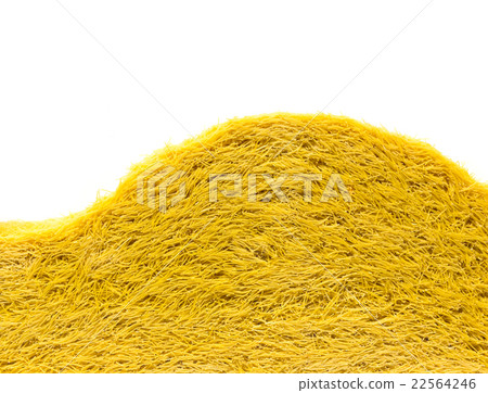 Heap of bowtie pasta Heap of bowtie pasta 22564246