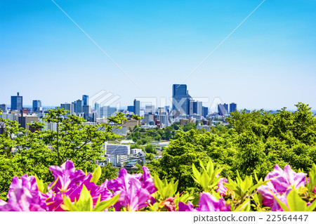 城市的風景 杜鵑花和仙台市的全景 照片素材 圖片 圖庫