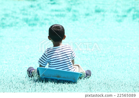 Primary school student playing with turf (1st grade) 22565089