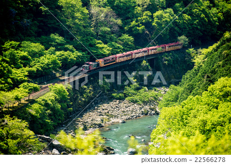 Sagano旅遊鐵路卡車火車 Sagano旅遊鐵路卡車火車 22566278