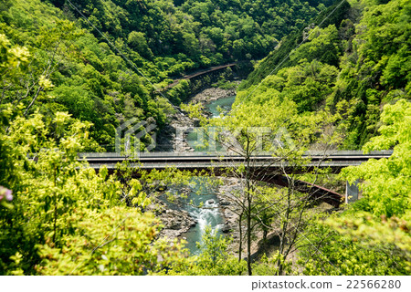 Fresh green Hozu Gorge 22566280