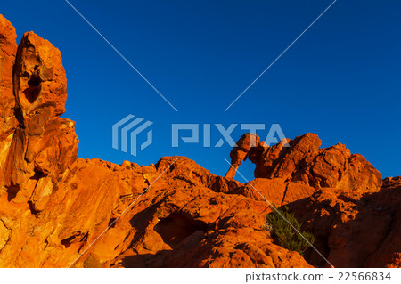 Valley of Fire Valley of Fire 22566834