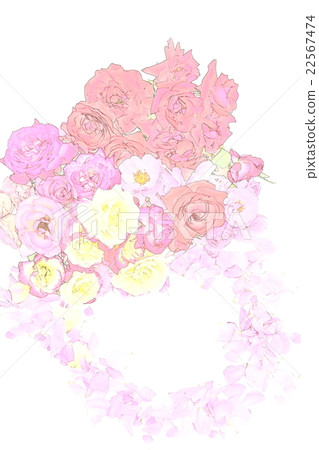 很多玫瑰花朵框架 22567474